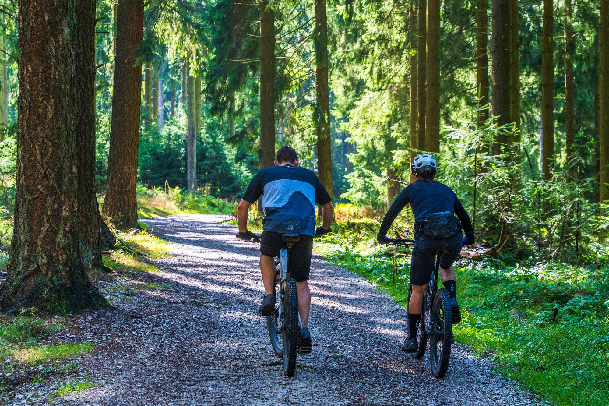 Deux vététistes roulant sur un chemin de gravier à travers une forêt de pins, lumière filtrée par les frondaisons