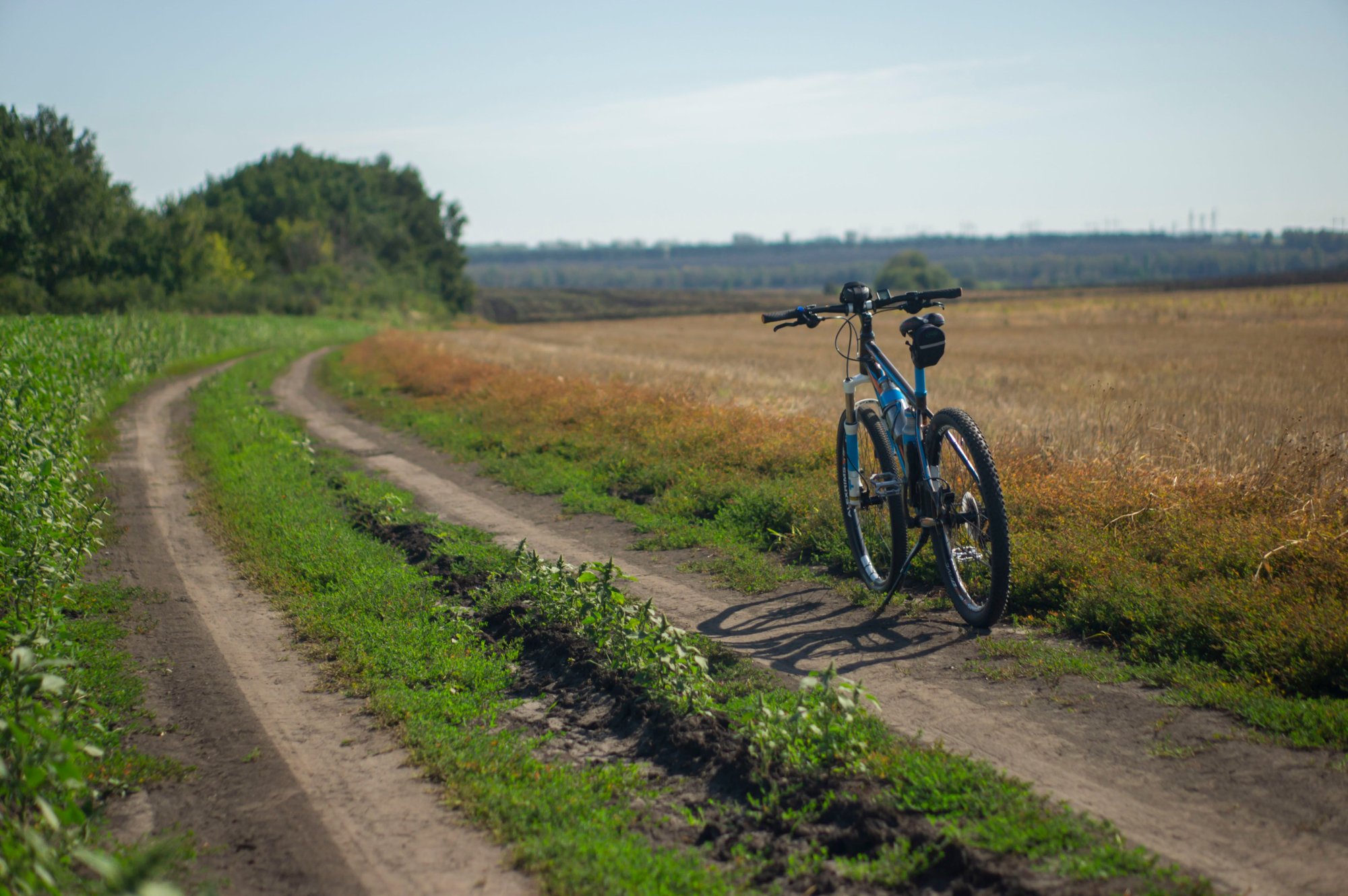 Vélo tout-terrain garé sur un chemin de terre entre un champ cultivé et une lisière boisée, sous un ciel dégagé